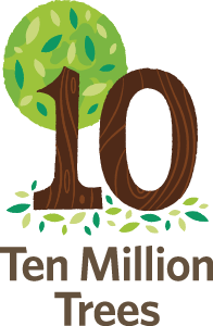 Ten Million Trees